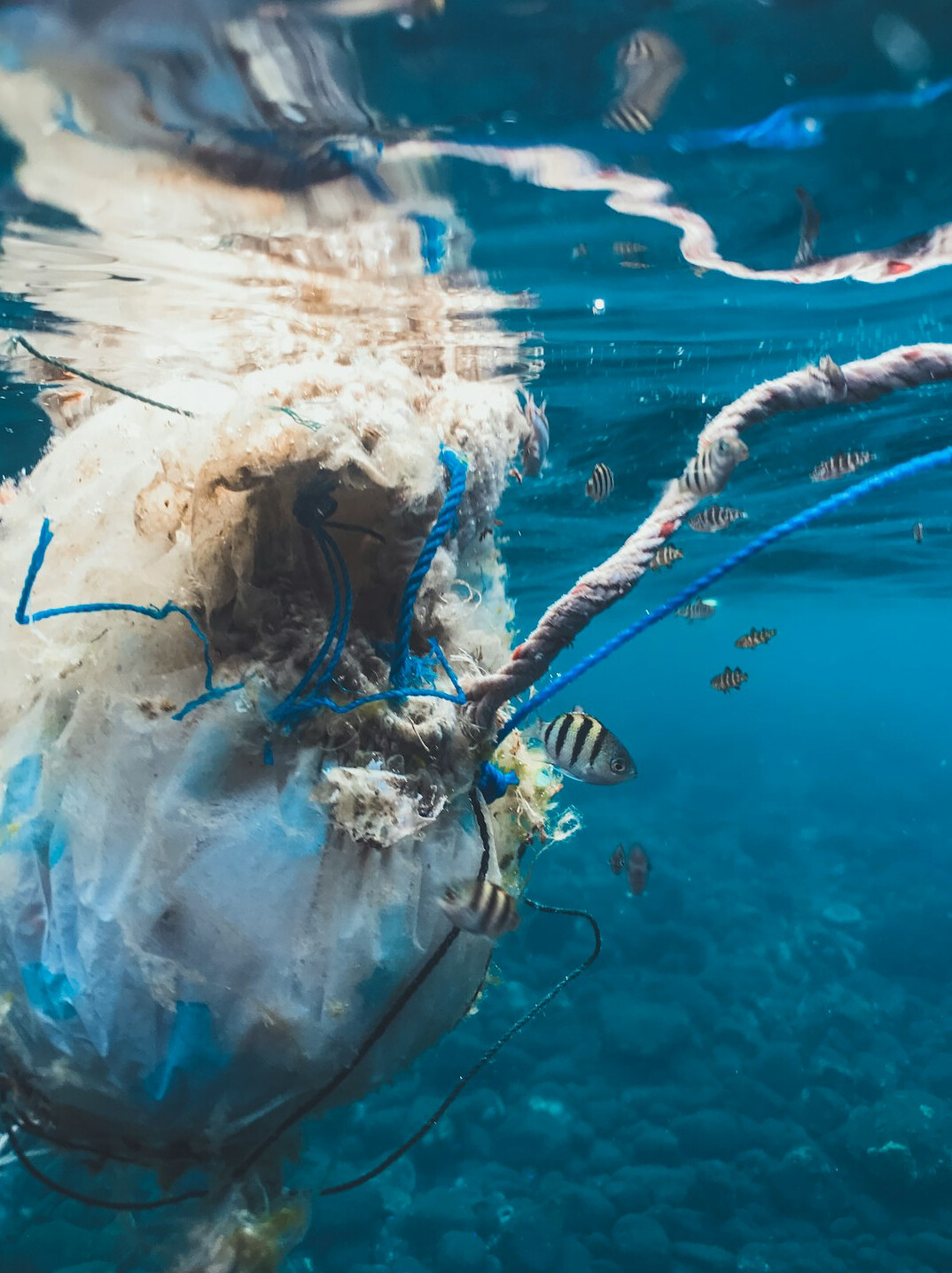 polluted ocean